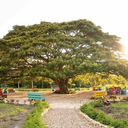 Вилла Hacienda La Huerta, Пуэрто-Плата Экстерьер фото